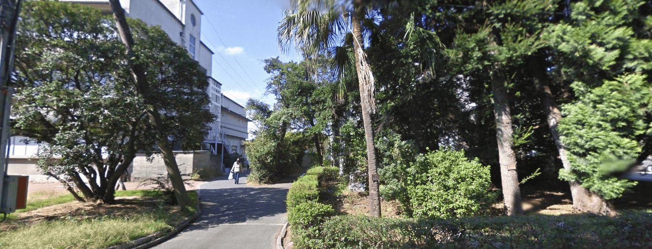 九州大学の学費 偏差値 難易度 入試科目 評判 就職先 やる気の大学受験 大学 学部の選び方ガイド