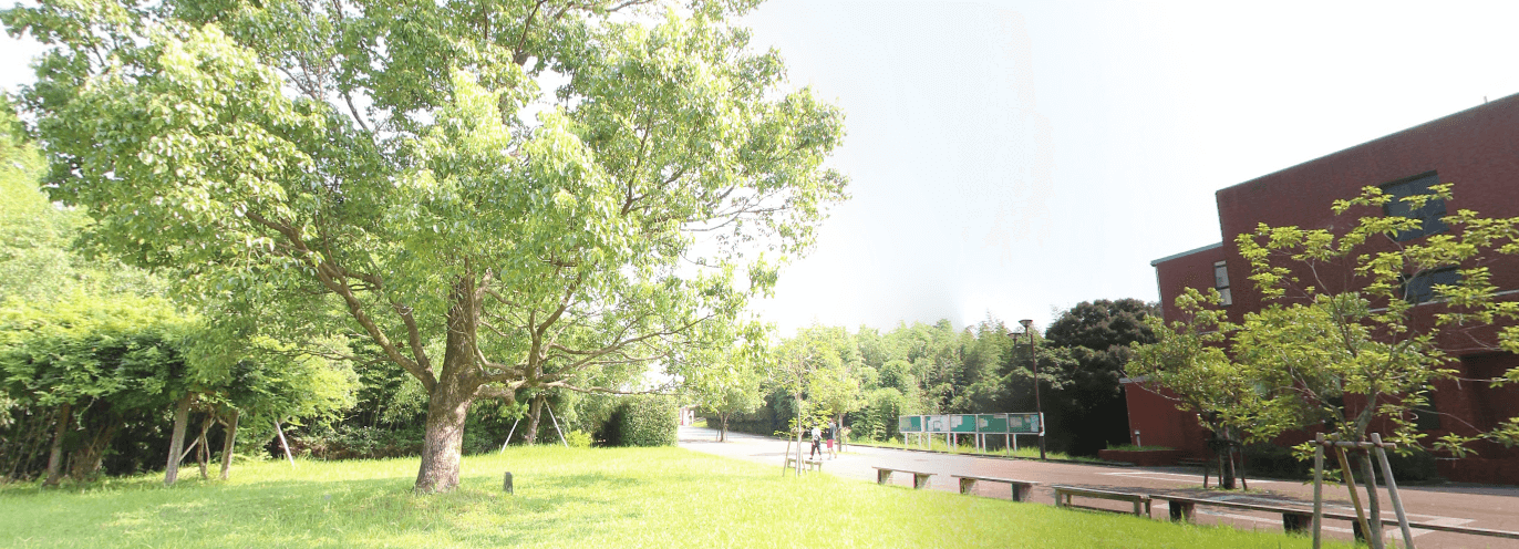 宮崎大学 学部学科の偏差値 難易度 学費 入試科目 評判 就職先 やる気の大学受験 大学 学部の選び方ガイド